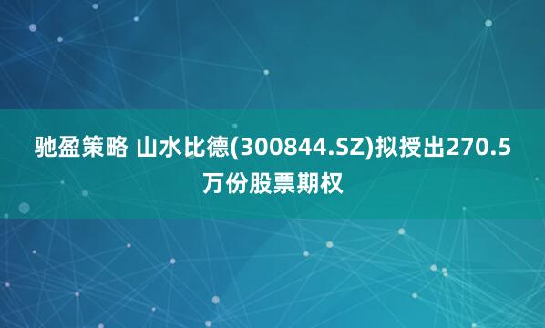 馳盈策略 山水比德(300844.SZ)擬授出270.5萬份股票期權(quán)