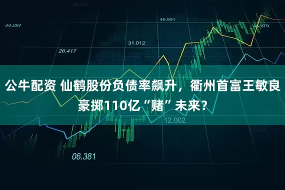 公牛配資 仙鶴股份負債率飆升,衢州首富王敏良豪擲110億“賭”未來?